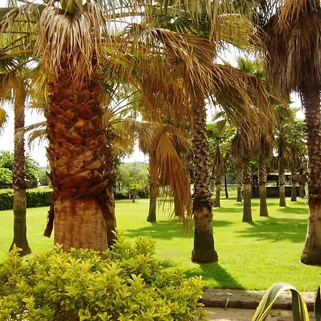 Le Banana's Casamozza