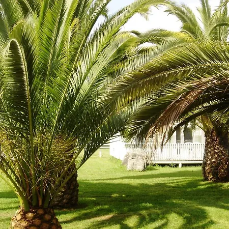 Ξενοδοχείο Le Banana's 2*